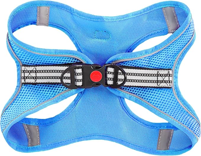 ROYPET Step-in Air Dog Harness, All Weather Mesh Step in Vest Harness for Small and Medidum Dogs and Cats, Adjustable Soft Padded Dog Vest with Easy Control Handle for Dogs Pets (Azure, L)