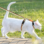 Cat Harness with Airtag Holder and Leash Set, Escape Proof Cat Harness for Walking Traveling Hiking Outdoor, Adjustable Step in Pet Harness for Small Medium Large Cats, Puppy, Kitten