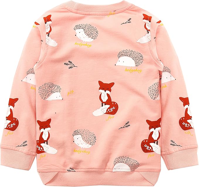 Bumeex Toddler Girl Sweatshirt Clothes Outfit,Cotton Crewneck Christmas Clothing