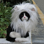 Onmygogo Lion Mane Wig for Cats and Dogs, Funny Pet Cat Costumes for Halloween Christmas, Furry Pet Clothing Accessories