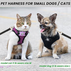 Dog Harness with Airtag Holder for Small Dogs, Puppy, Cats - No Pull Step in Small Dog Harness and Reflective Dog Leash Set for Walking Training Travel Grooming Outdoor