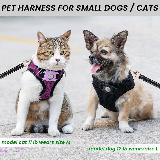 Dog Harness with Airtag Holder for Small Dogs, Puppy, Cats - No Pull Step in Small Dog Harness and Reflective Dog Leash Set for Walking Training Travel Grooming Outdoor