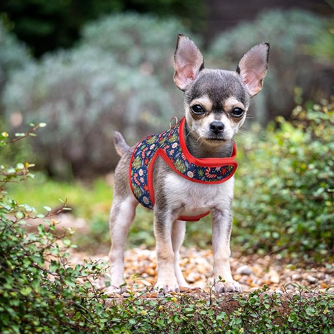 Mile High Life Velcro Dog Harness, Air Mesh Floral Vest Harness for 20 lbs Small Dogs & Cats, Easy Get on Adjustable Easy Closures Both Neck and Chest(Red Tree, XS Chest 14"-16")