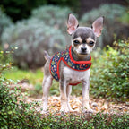 Mile High Life Velcro Dog Harness, Air Mesh Floral Vest Harness for 20 lbs Small Dogs & Cats, Easy Get on Adjustable Easy Closures Both Neck and Chest(Red Tree, XS Chest 14"-16")