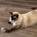 Catstages Squeak Squeak Mouse Cat Toy with Touch-Activated Sound & Catnip, Gray