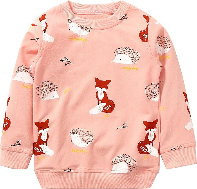 Bumeex Toddler Girl Sweatshirt Clothes Outfit,Cotton Crewneck Christmas Clothing