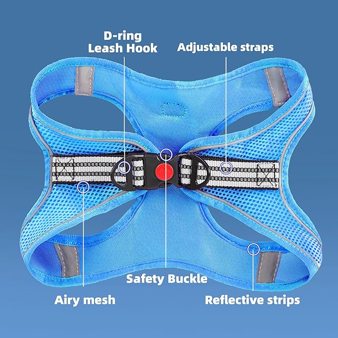 ROYPET Step-in Air Dog Harness, All Weather Mesh Step in Vest Harness for Small and Medidum Dogs and Cats, Adjustable Soft Padded Dog Vest with Easy Control Handle for Dogs Pets (Azure, XS)
