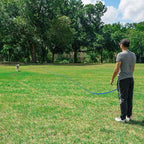 Hi Kiss Dog/Puppy Obedience Recall Training Agility Lead - 15ft 20ft 30ft 50ft 100ft Training Leash - Great for Training, Play, Camping, or Backyard Blue 100 Feet