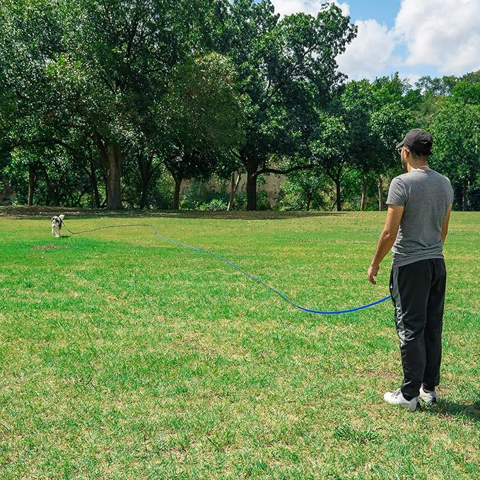 Hi Kiss Dog/Puppy Obedience Recall Training Agility Lead - 15ft 20ft 30ft 50ft 100ft Leash - Great for Training, Play, Camping, or Backyard - Orange 50ft