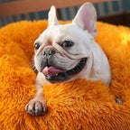 Calming Donut Dogs Beds for Small Dogs Washable,23inch Plush Round Pet Bed for Cozy Sleep,Fluffy Faux Fur Large Cat Bed,Fits up to 25 lbs Pets,Orange