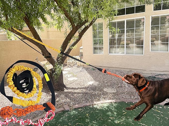 Dog Bungee Toy 20.35 ft Reinforced Interactive Rope with Two Replacement Refills - Dog Rope Toys Interactive Toys